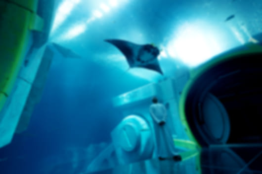 Enchanting Abu Dhabi Trip with Yas Island Sea World & Warner Bros